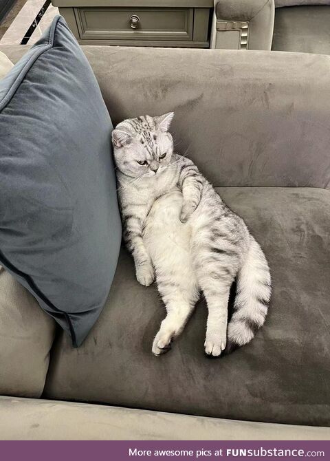 Don’t mind her, she’s just chilling