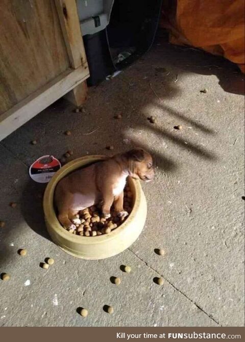 How would you wake him up