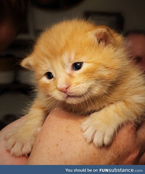 He opened his eyes just a couple days ago and has been smiling ever since