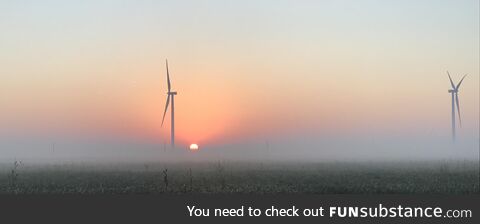 Layoff day after 50 turbines