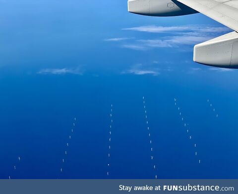 Wind farms in the English Channel