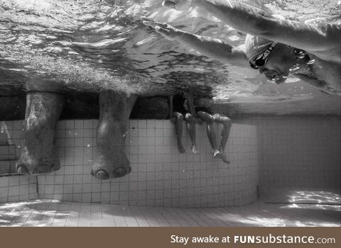 An elephant chilling in the pool with humans
