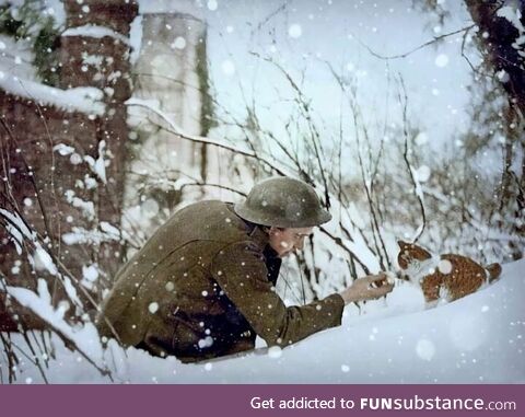 British soldier playing with a kitten in the snow, December 17, 1917