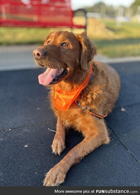 Early morning walk [oc]