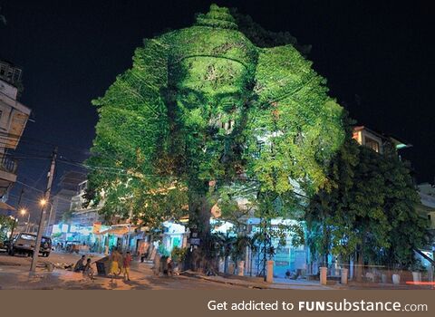 3D Projections on Trees [or] How to give someone on acid a bad trip