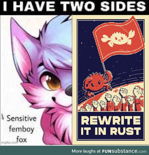 Average Rust Developer uwu