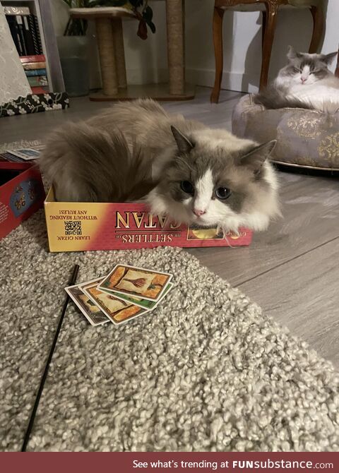[OC] Settlers of Cat-an
