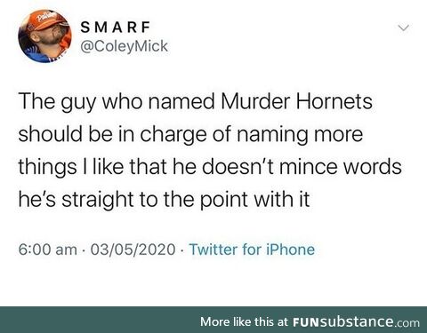 Gay programmed parted