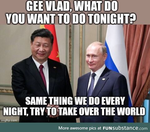 Which one is the brain?