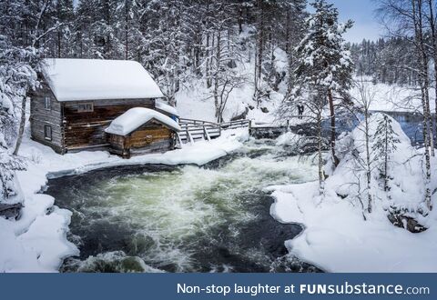 Cabin in the forest in Finland