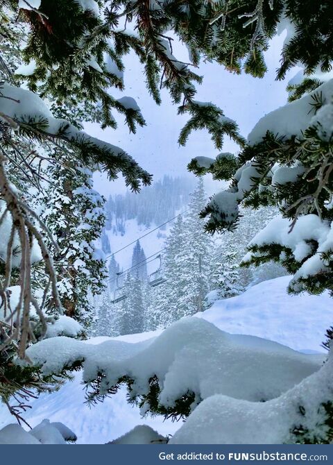 Gad 2 lift at Snowbird