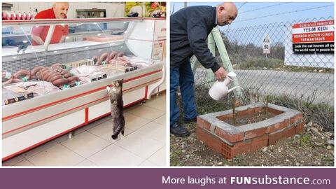 A touching tribute to shop’s iconic cat