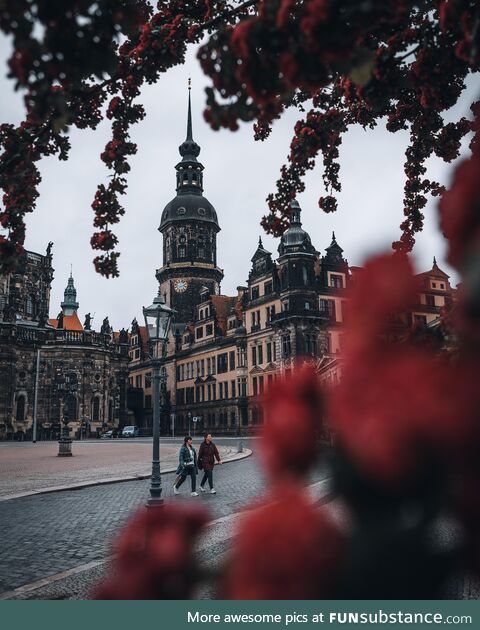 Dresden, saxony [oc]