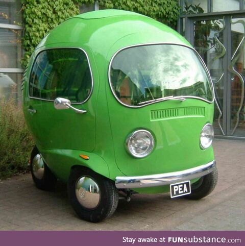"Mom, can we get a green car. Maybe a Prius or Tesla?" / "We have a green car at home."