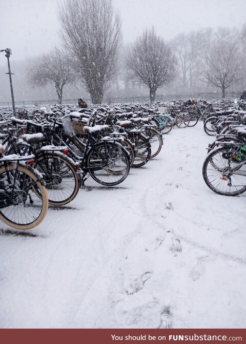 Weather in the southern Netherlands right now