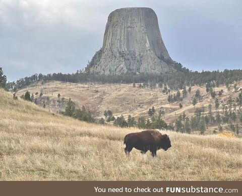 Wyoming