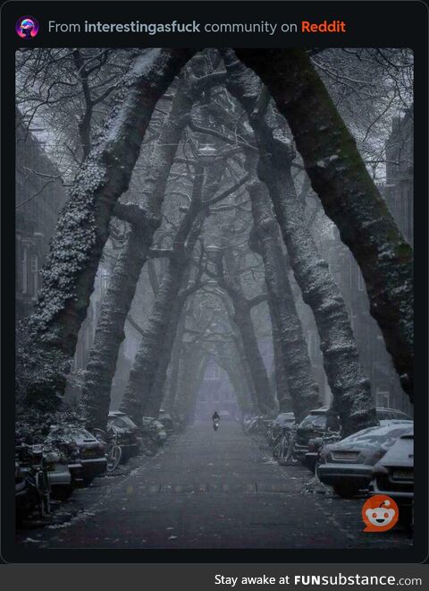Street in Amsterdam