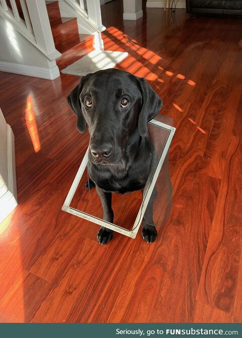 If guilt had a face
