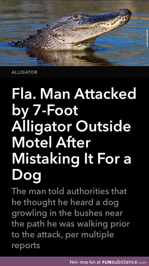 Only in Florida