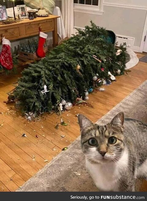 Oopsies!