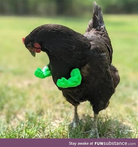 A chicken with 3d printed hulk arms