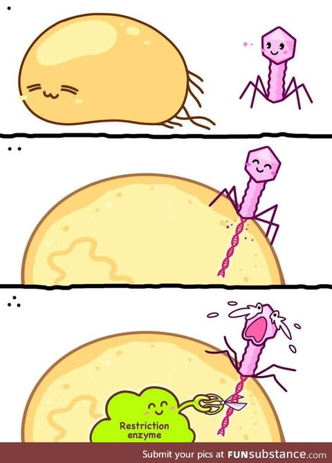 Heh