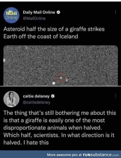 Awful odd wordless