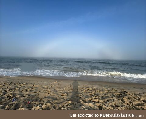 Spotted my first ever fogbow today