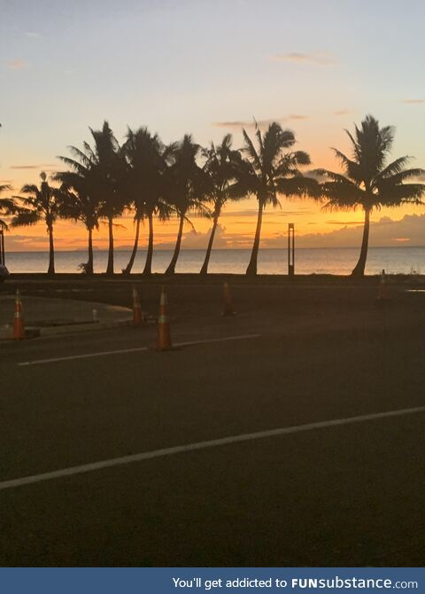 A nice sunset with palm trees