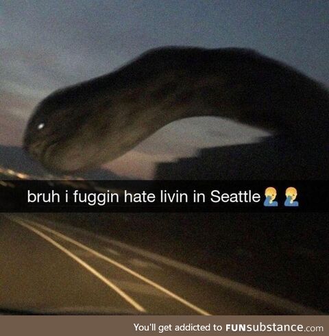 dang