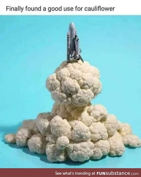 Finally found a good use for cauliflower