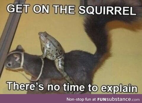 Well… saddle up!