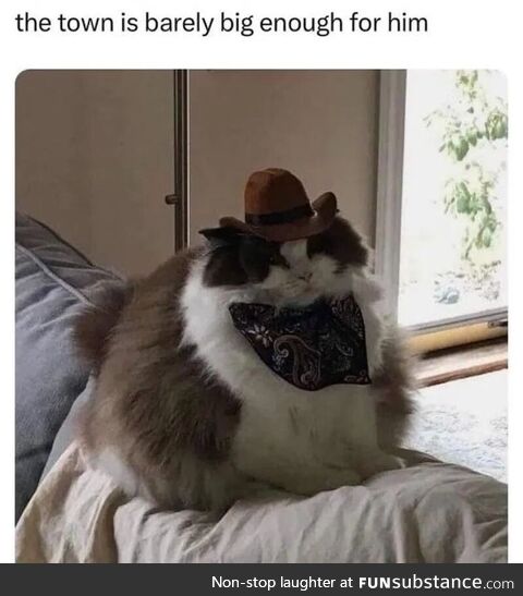 Big fat on his hip