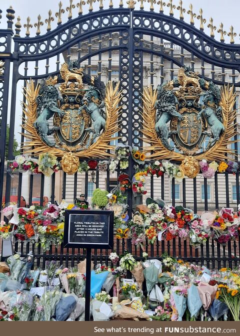 The floral gesture of the UK citizens (OC)