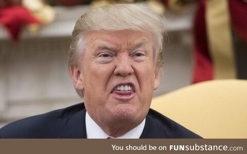 Donald trump making angry bird face (2018)