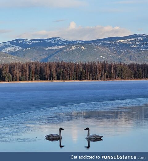 Cool morning by the lake