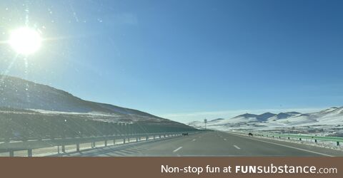 A couple of wolves on a highway in Mongolia. One on the left has an Eagle in it's mouth