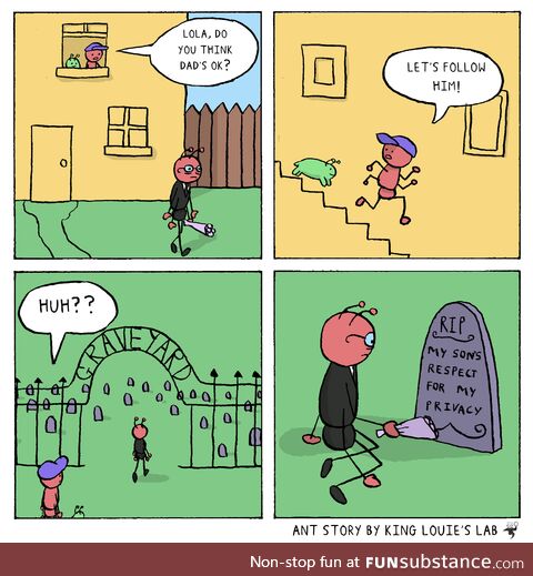Ant story!