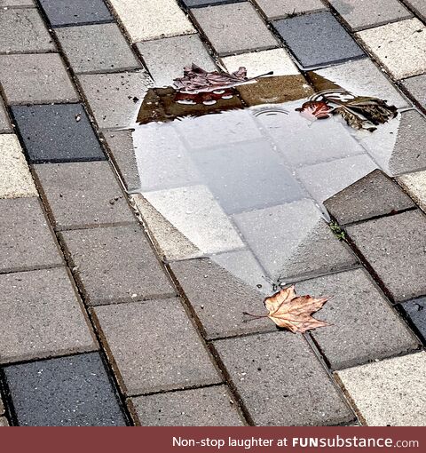 Puddle didn’t fully render