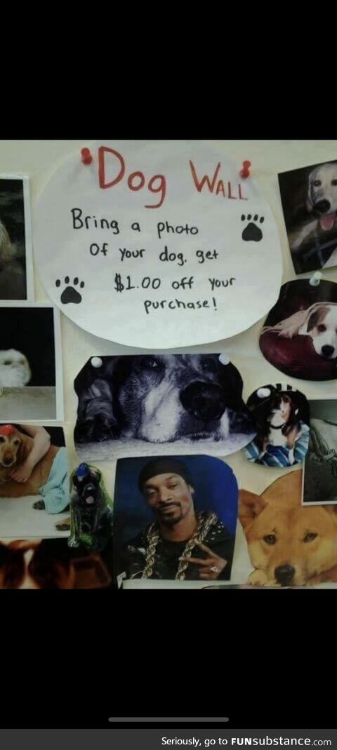 wooftothaizzle