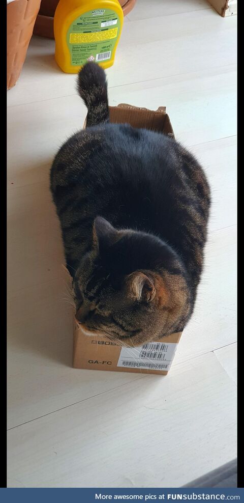 There's no such thing as a small box