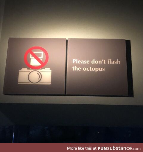 Double entendre
