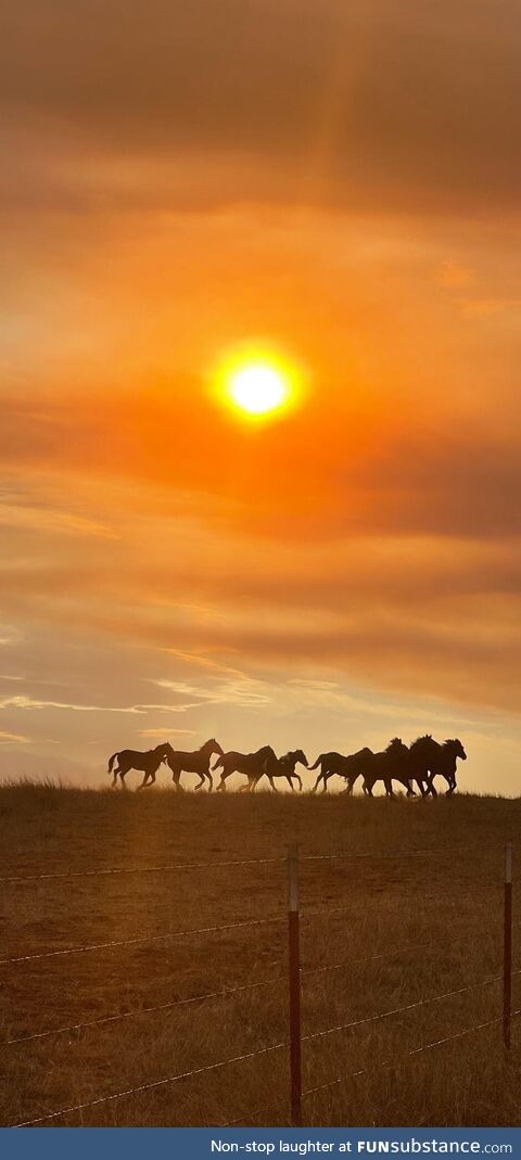 Western Oklahoma sunset