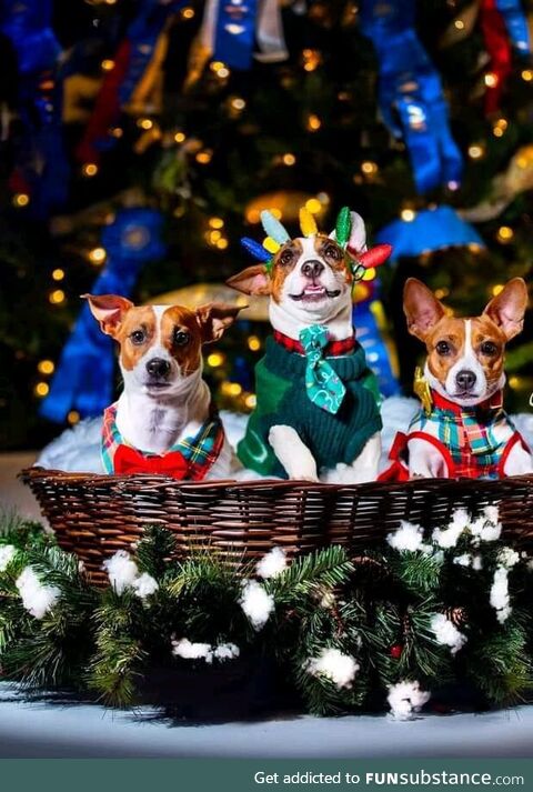 Merry Christmas from our Jack Daniels family!