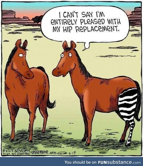 New hip