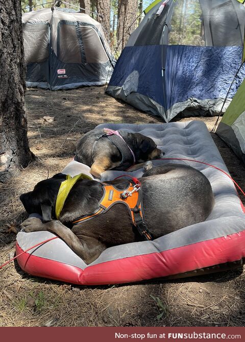 Roughing it