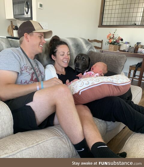 Our dog’s reaction to bringing home our tiny human