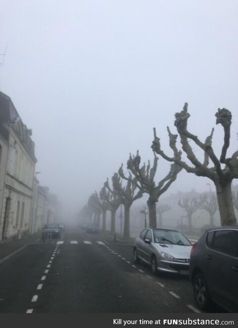The trees are tired of your shit