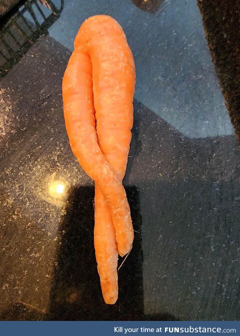 A very sexy carrot