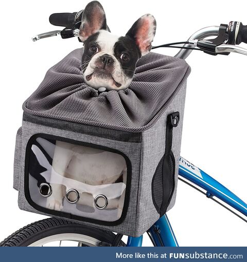 Dogcube